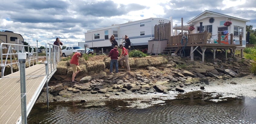 Helping Nature Heal team members work along a shoreline. - Photo Contributed.