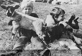 Enjoying the warm spring weather in 1986 were Keith Richards and Randy Anthony, who visited Orland Berggen’s farm in Belmont. The farm had already welcomed 65 lambs to its flock that spring.