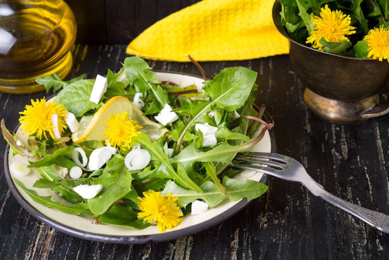 Wondering how to use dandelions? Try adding it to your salad, suggests Shawn Dawson. - Saltwire network
