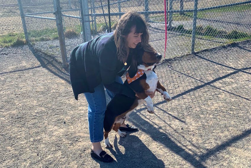 Sonya Yurchesyn was hanging out with her three-year-old basset hound Gus on Wednesday afternoon at the off-leash dog park at the Open Hearth Park in Sydney.
