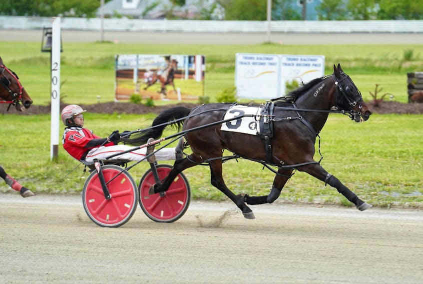 Paul Langille races with Jazzmo. He said he is looking forward to being outside with the horses. Photo by Kyle Burton. 