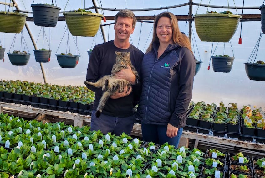 Jennifer and Chris Vriens, along with their cat Bear, own John’s Greenhouse in Summerside, P.E.I. They have been preparing for another busy gardening season due to COVID-19.