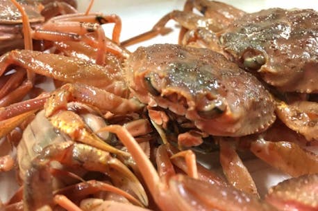 Price hike for Newfoundland and Labrador crab fishers but market situation still volatile says panel