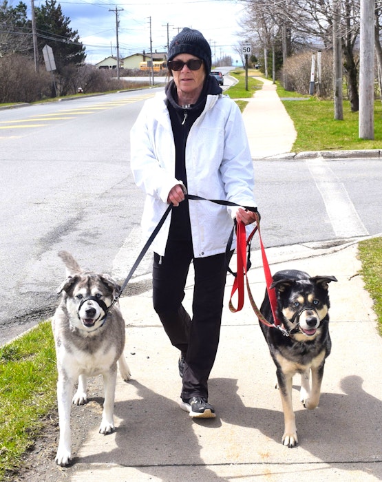 Gail Parr of Scotchtown with her dogs Pear, left and Ruby, out for walk near her home Wednesday. Parr said she saw the lockdown coming and was prepared. Sharon Montgomery-Dupe/Cape Breton Post