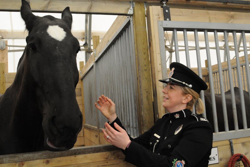 RNC Mounted Unit member Const. Kelsey Muise greets her riding partner Rich at his stall in the RNC Stables at Rainbow Riders on Wednesday. - Joe Gibbons/The Telegram 