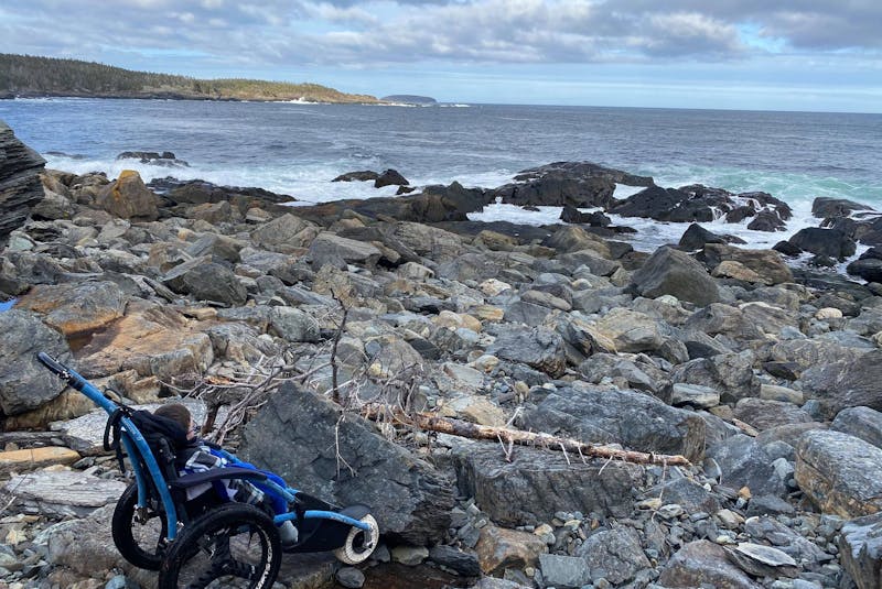 Lyndon, 5, of Bay Bulls gets to see things and go places he never had before thanks to a specialized wheelchair, which his family borrowed from the Janeway Children's Hospital. The wheelchair can go through rough terrain, rocks and gravel, something his everyday wheelchair can't. - Contributed