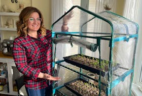 Mini-greenhouses are great for sowing seeds whether you have limited space, funds, or looking to extend your growing season. – Paul Pickett photo