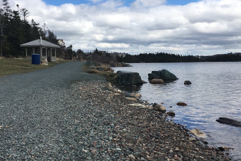 High water levels were seen in ponds and rivers in the St. John’s area during April. At Neil’s Pond trail in Paradise the water level has receded somewhat leaving part of the trail eroded. — Glen Whiffen/SaltWire Network