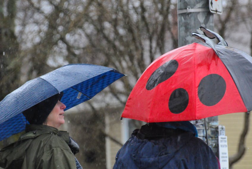 Umbrellas were a familar sight over the course of April as a wet spring settled in — a record-breaking 288 mm of rain fell in St. John's last month. Joe Gibbons file photo