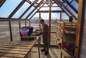 Mark Cullen is glad to be out in his greenhouse getting a jumpstart on the growing season and figuring out the gardening that can be done in the early part of spring.