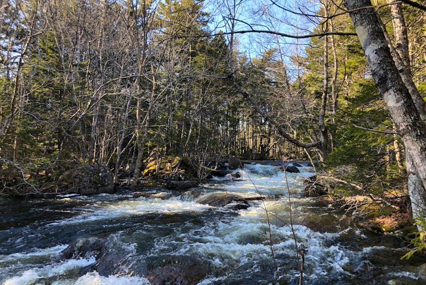 Pockwock Falls, located in Hammonds Plains, N.S., is an easy hike for families, and it's definitely worth the walk to see the falls, says Heather Fegan.