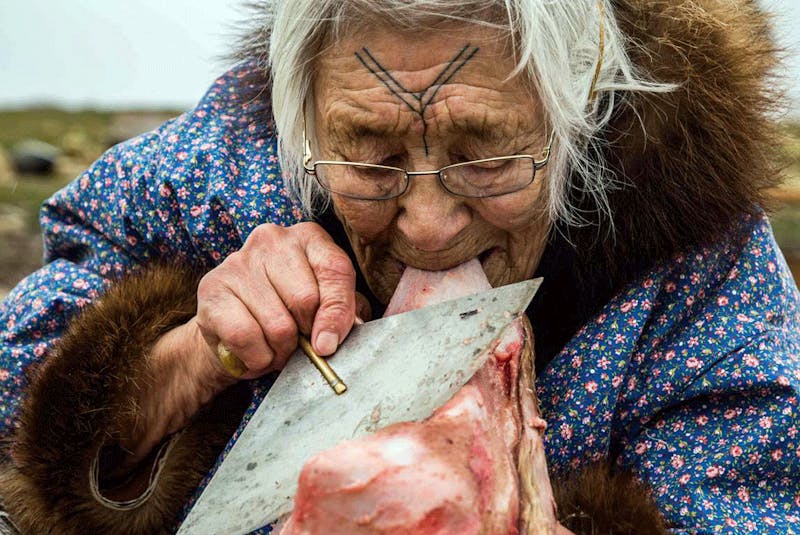  Bessie Omilgoetok of Cambridge Bay cleans the blubber from a seal pelt with her ulu. - Kaitlyn  Van De Woestyne