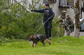 A pair of RCMP ERT members follow a Halifax Regional Police canine officer and his dog in front of an Anderson Road home near Upper Hammonds Plains on May 13, 2020. Halifax Regional Municipality is looking at reviewing the efficiencies of having the two polices forces.