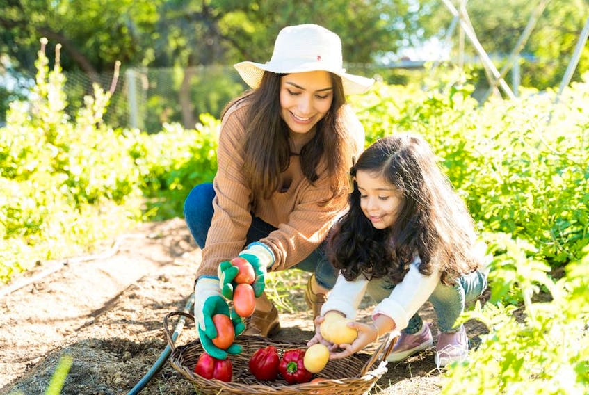 Gardening is a great way to introduce children to new fruits and vegetables. 
