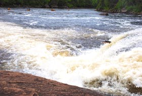 A salmon jumps Big Falls on the Humber River. — Contributed photo 
