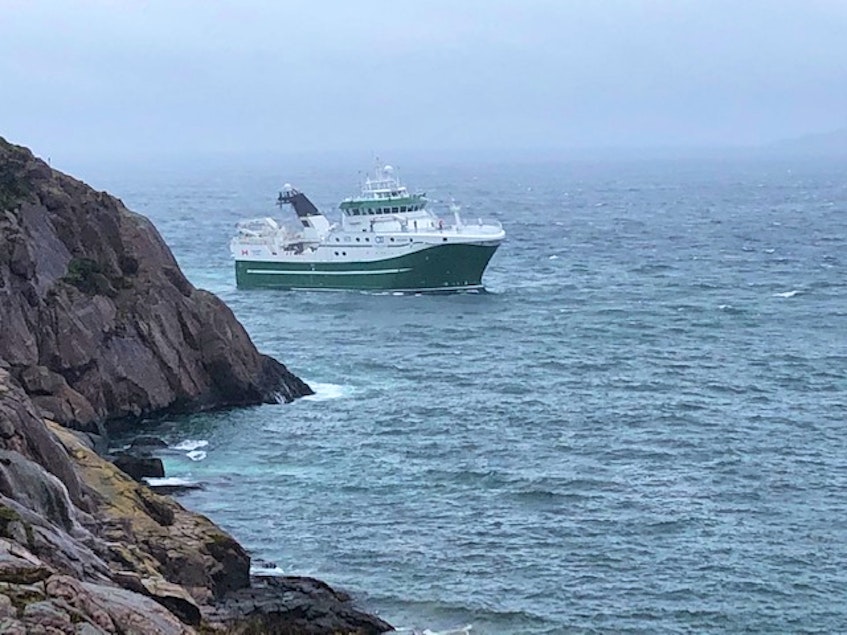 The MV Calvert rounds The Narrows on its approach to St. John's harbour on June 4, 2020. — Contributed