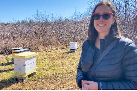 Beekeeping: Honey of a hobby in Yarmouth County