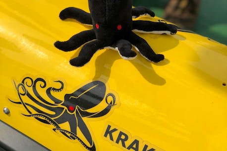 Kraken Robotics expects to double revenue in 2021 based on early Q1 financials