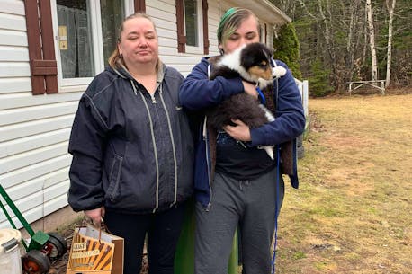Truckers from West Devon, P.E.I. donate border collie puppy to Montague teen with Asperger’s