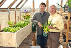 Mark Cullen, right, and Ben Cullen have some tips for stretching their gardening budget.