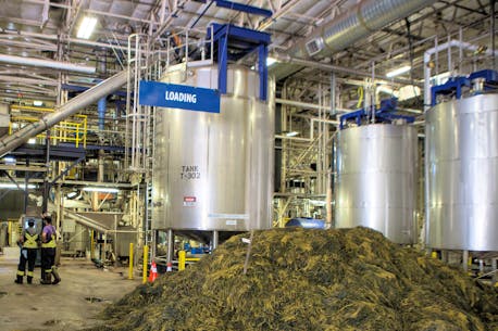 Seaweed plant in Cornwallis Park to double production capacity
