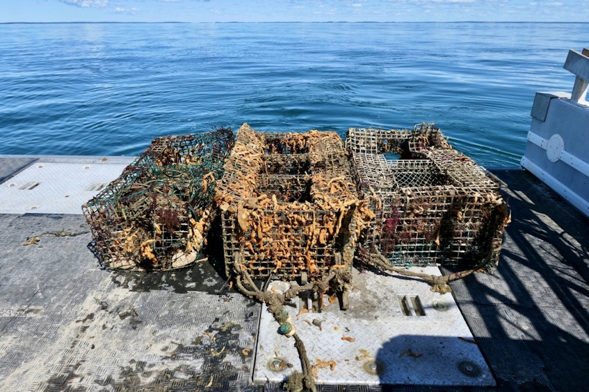 Three of the 189 lobster traps retrieved last year as part of the Tackling Ghost Gear: Collaborative Remediation of Abandoned, Lost and Discarded Fishing Gear in Southwest Nova Scotia project, look as though they have been on the bottom of the ocean for a while. CONTRIBUTED • COASTAL ACTION