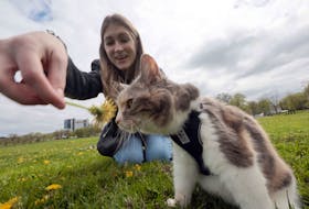 Angela Rafuse and her 15-year-old calico cat named Mackenzie are seen at the Halifax Common Wednesday, May 19, 2021. Last year, Rafuse took Mackenzie in after her grandparents passed away. Now, she's helping other seniors arrange to have their pets move into a second home through her non-profit My Grandfather's Cat.