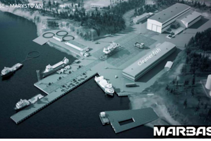 The original conceptual drawing for the Marbase Cleanerfish hatchery for Marystown.