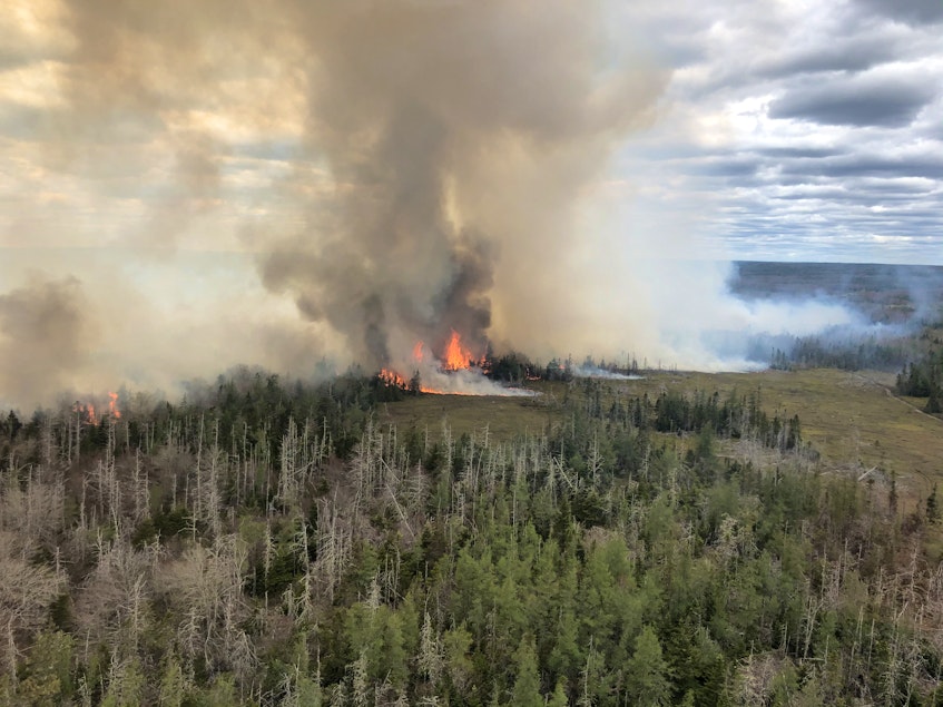 Lands and Forestry crews are on the scene for a second day , fighting two fires near Barrington Lake. Nova Scotia Department of Lands and Forestry photo - Contributed