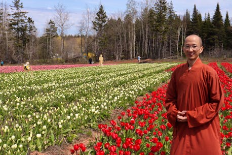 Buddhist monks in P.E.I. share tulips, springtime goodwill with Islanders