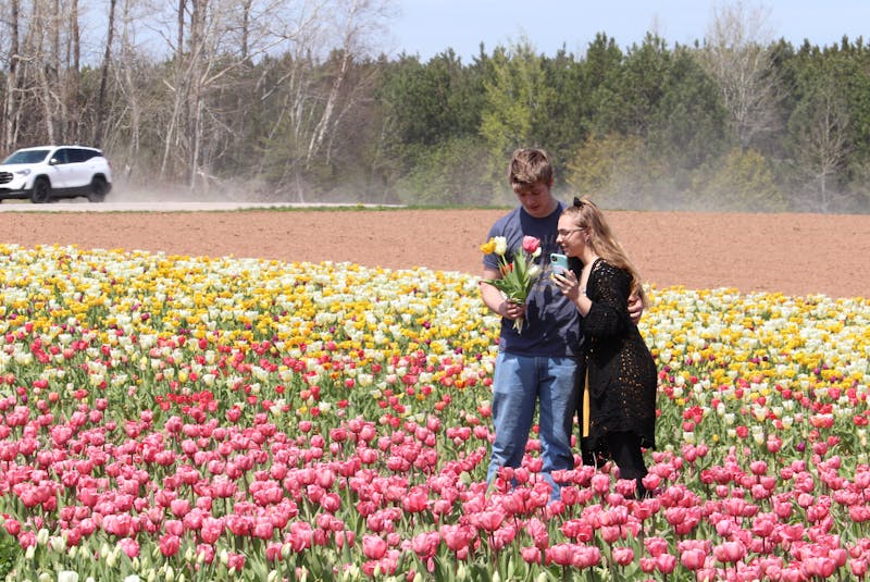 A young couple enjoys the morning picking flowers in Heatherdale.  - Logan MacLean