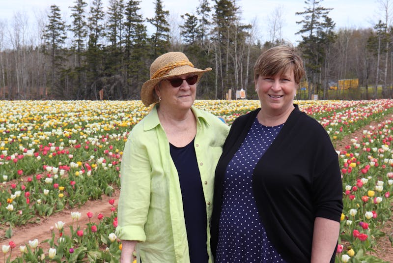 Clara, left, and Jackie Arsenault visited the tulip field for the first time on Monday. - Logan MacLean
