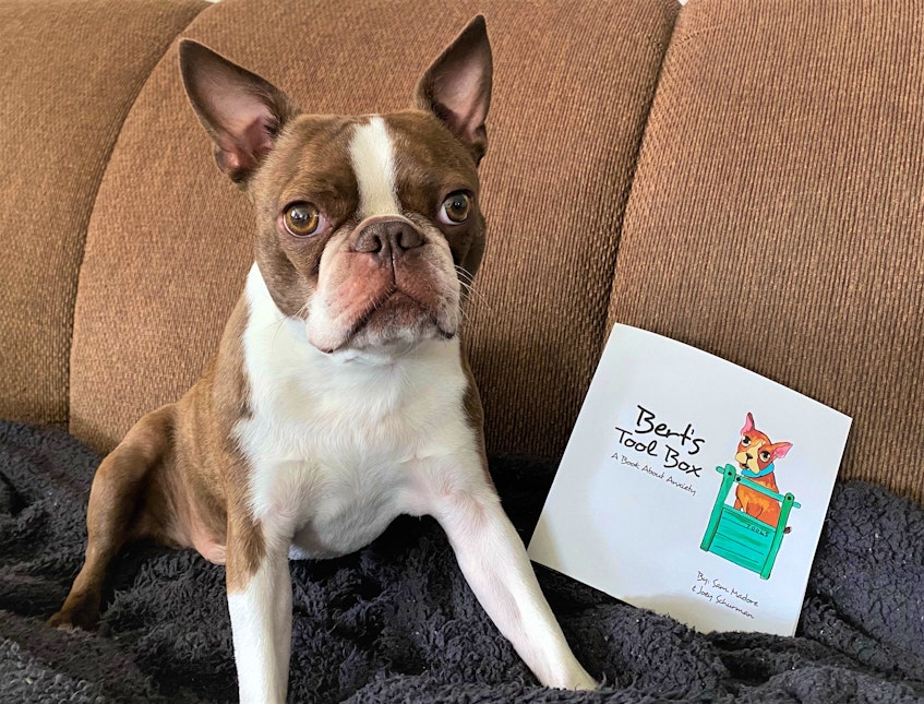 The star of Bert’s Tool Box – Boston Terrier Bert – with the cover illustration. - Contributed