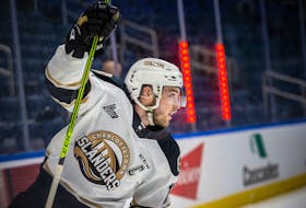 Charlottetown Islanders captain Brett Budgell celebrates after scoring in the second period of Friday's Game 3 of the Quebec Major Junior Hockey League semifinal in Quebec City. - Jonathan Roy