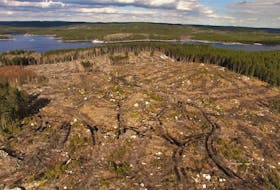A large clearcut on public land in the Ingraham River area, north of St. Margarets Bay, in April 2017. - Raymond Plourde