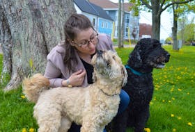 Dr. Zoe Rutledge, who recently graduated from the Atlantic Veterinary College in Charlottetown, loves spending time with her two dogs, Abby, left, an eight-year-old wheaten, and Clarke, a 10-year-old barbet.