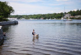 Margaret (no last name given) wades into the waters of the Northwest Arm with her dog, Oliver, as they seek some relief from the mugginess on Monday afternoon, July 13, 2020.