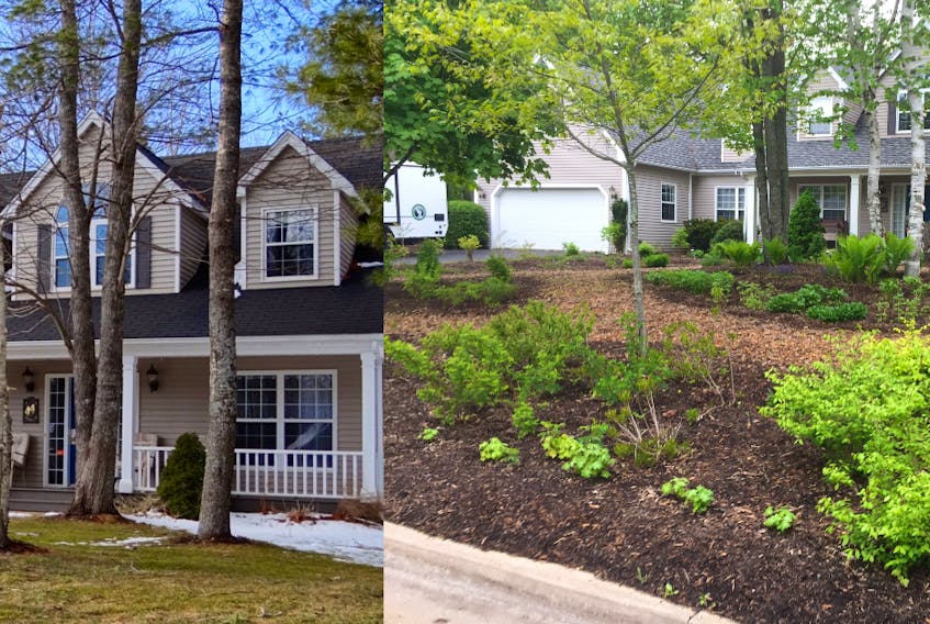 Before and after photos of the Helping Nature Heal team’s work at Marda and Ralph Hirschfield’s Kentville property, where they transformed both front and back yards. - Photo Courtesy Marda and Ralph Hirschfield.