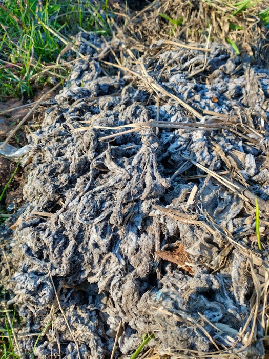 A fibrous substance that looked similar to mop strings was pulled off the diffusors in the Hants Border sewage lagoon in mid-March. An analysis of this material showed that it is composed primarily of disposable wipes — an item that’s not intended to be flushed down the toilet. - Contributed