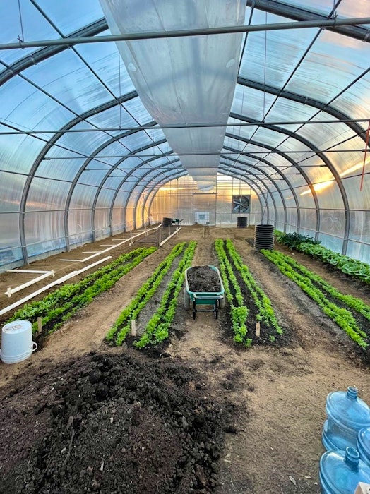 Lettuce and kale growing inside the geothermal greenhouse in Potlotek First Nation, which will be able to grow vegetables year-round for community members. CONTRIBUTED - Ardelle Reynolds