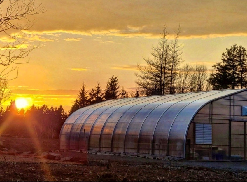 Potlotek First Nation's new greenhouse is growing healthy and affordable produce for community members. CONTRIBUTED - Ardelle Reynolds