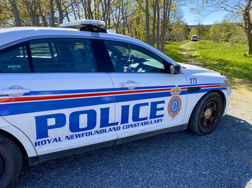 Two Royal Newfoundland Constabulary vehicles were positioned near a cordoned-off area in the woods near Waterford Valley High in St. John's Monday morning. - Keith Gosse