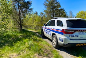 Human remains were reportedly found in the woods near Waterford Valley High in St. John's overnight.