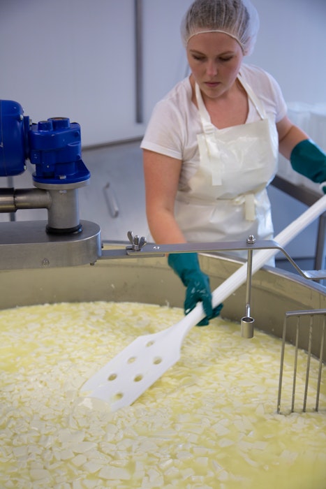 Blue Harbour Cheese has been making different varieties of blue cheese in its Dartmouth facility since opening in 2013.  - Contributed