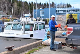 Preparing bait, Brent MacEachern (left) and Nathan Gormley help to get Miss Amelia ready for setting day, off Caribou Wharf. 
