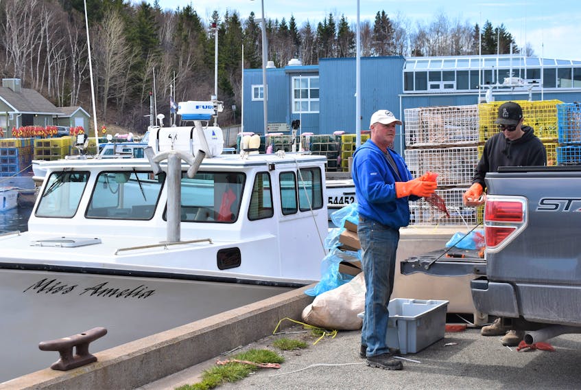 Preparing bait, Brent MacEachern (left) and Nathan Gormley help to get Miss Amelia ready for setting day, off Caribou Wharf. 