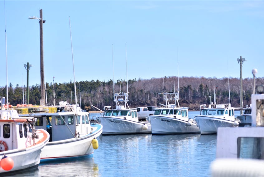 Boats at the Caribou Wharf a day before setting day, which was scheduled for April 30 but pushed to Tuesday due to rain and wind.      