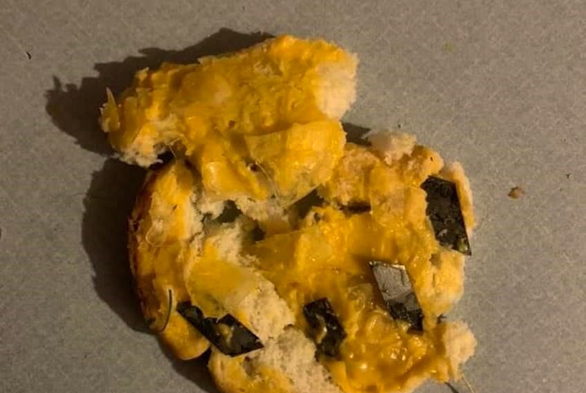 The dog owner found his dog chewing on this bread, stuffed with cheese spread, shards of glass and razor blades.
