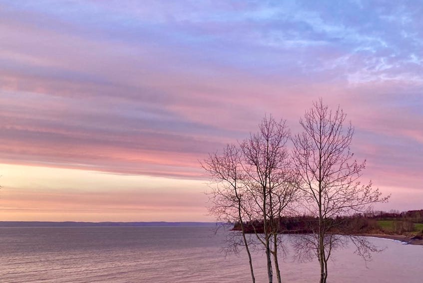 Darlene Ashley sent in this photo of an enchanting sunset over the water in Tennecape, N.S. I love the array of colours such as pink, blue and purple expressed in the sky and reflected on the water. A sunset is truly a natural piece of artwork right above our eyes, on display every evening.  

Thank you for sharing this sunset with us all Darlene.