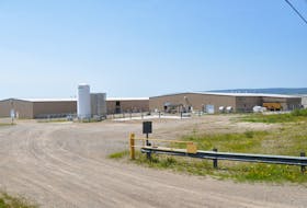 The Northern Harvest Smolt Ltd. salmon hatchery at Port Harmon, Stephenville, currently produces 4.5 million smolt. The company's plans to add more capacity here have been stymied, however, by court challenges and recent rulings. FILE PHOTO